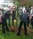 Unsere Obstbaumwiese erhält einen Aprikosenbaum.